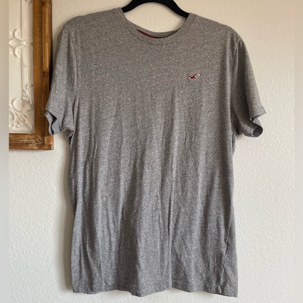 Hollister Men’s short sleeve T-Shirt size large gray logo Must Have Collection